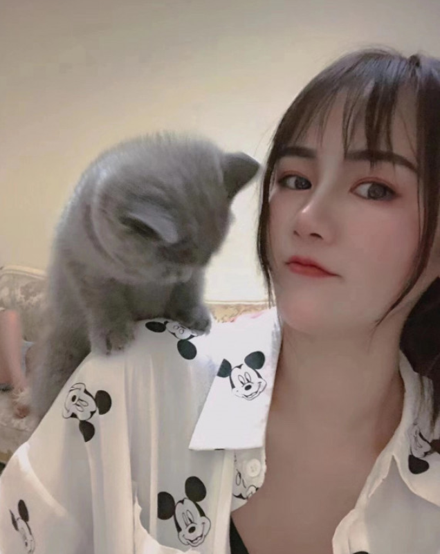 验证禅城区 夏荷